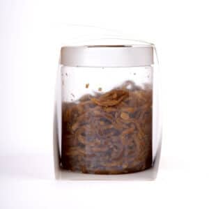 Stir – Fried Lemongrass Salted White Radish | 10.5oz (300g)